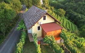 Adorable Guesthouse In The Middle Of Vineyards