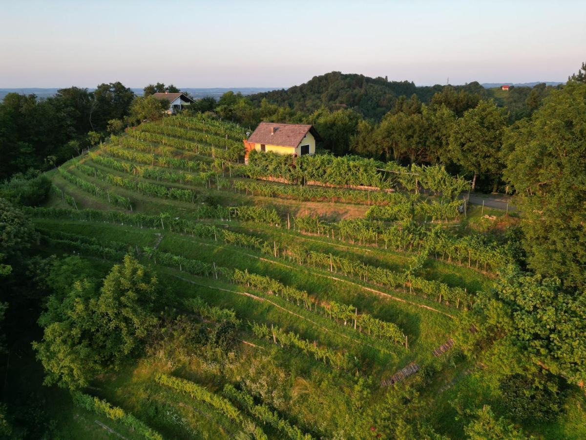 Adorable Guesthouse In The Middle Of Vineyards Ptujska Gora Exterior foto